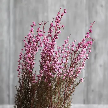 

Two Pieces Natural Dried Flowers Plum Blossom Floral Wedding Bouquet Home Decor Mini New Ornament Flowers