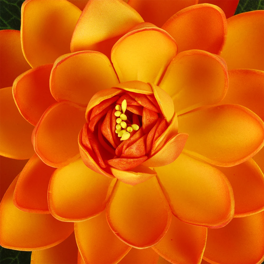 02 (18)