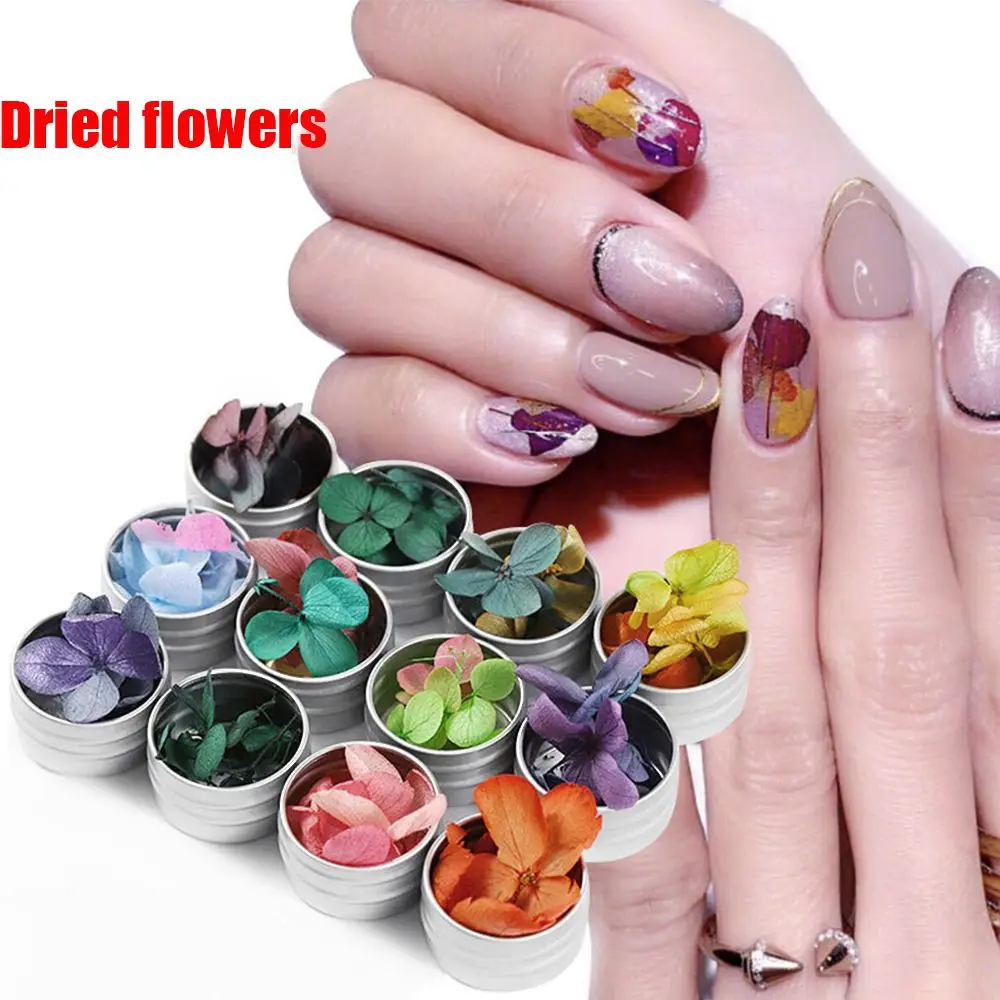 

Natural Dried Flowers Nail Decoration Floral Sticker DIY 3D Pressed Flower Slider Sticker Polish Manicure Nail Art Decorations