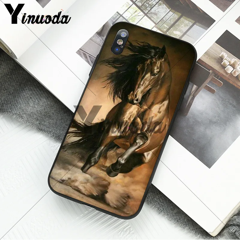 andalusian horse