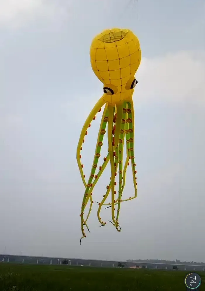 Большой воздушный змей для рыбалки papalotes pulpo надувной остров Радуга кайт кои