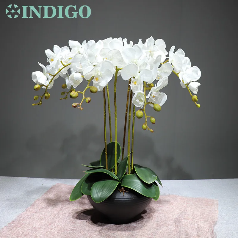 Индиго-9 шт./лот, орхидеи с цветами и листьями, настоящий цветок на ощупь, стол для свадебной вечеринки, декоративное событие