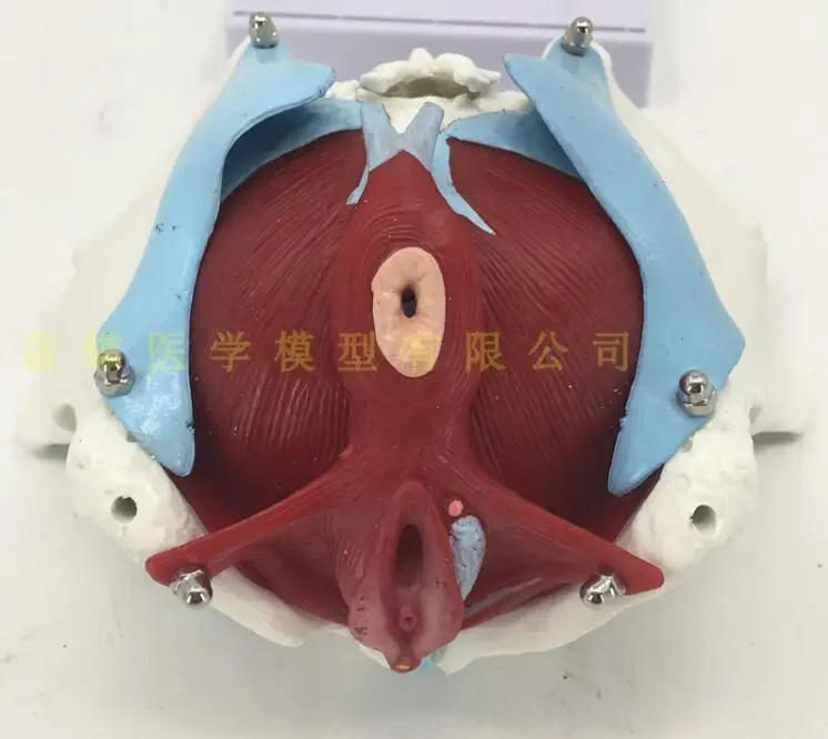 QQ20181105203539