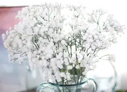 1 шт. 65 см Искусственный цветок Gypsophila филиал белый Hand Made поддельные Гипсофилы цветочный отрасль шелковые цветы Fleur artificielle #20