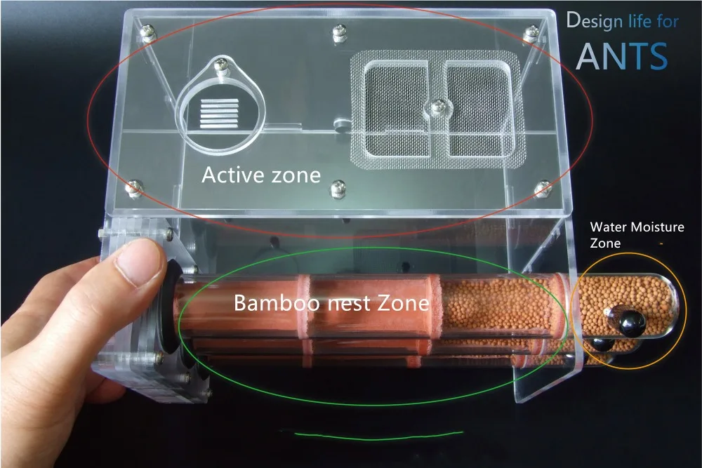 3pcs-bamboo-ant-nest (3)