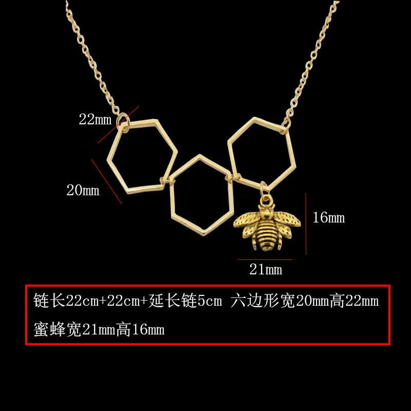 XL028 (6)
