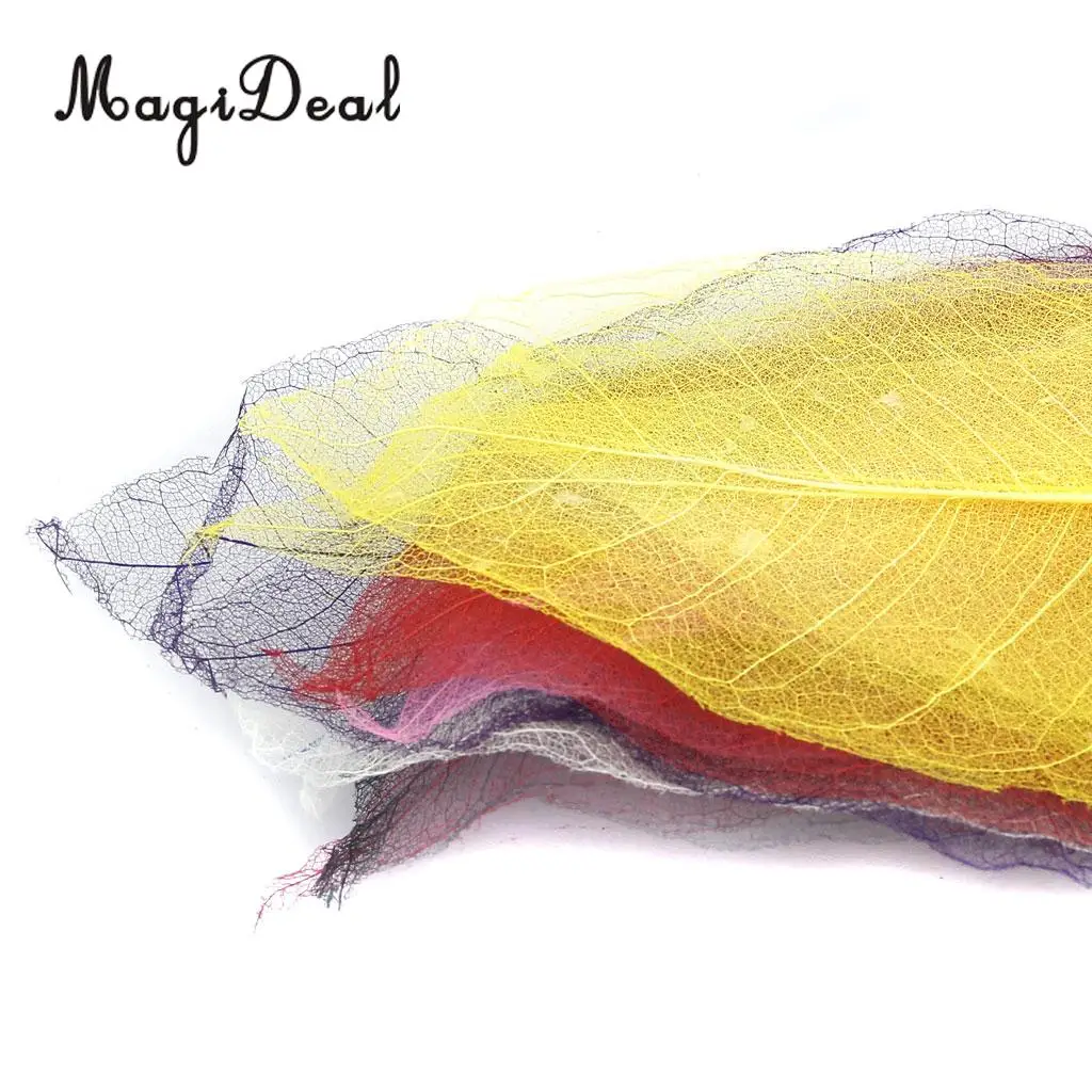 MagiDeal 50Pcs Natural Magnolia Skeleton Leaf Leaves Card Scrapbook - Mixed Color Decorate Cards Candles Packages