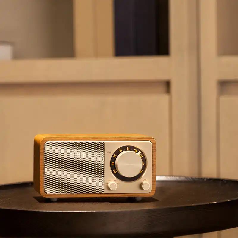 bluetooth speaker radio portable