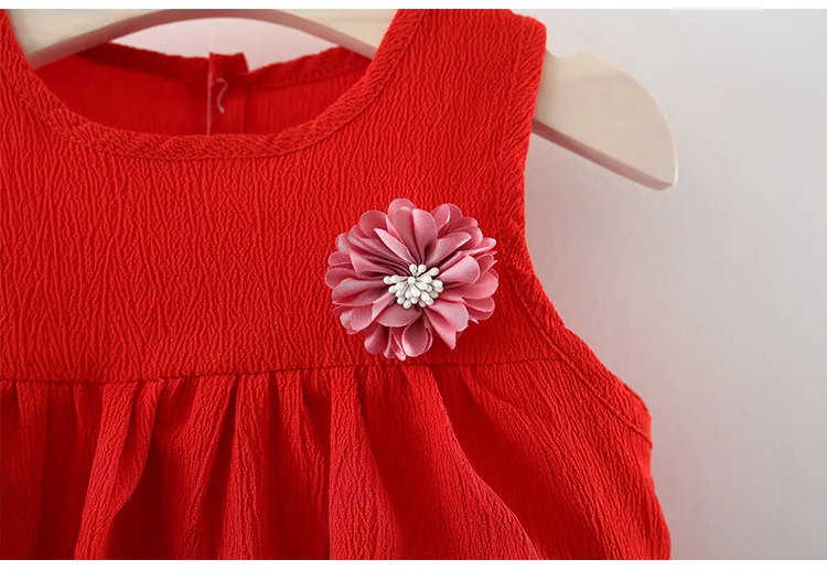 New Born Baby Girls Clothing Sets Princess Dress Tops+Hot short Pants 2 Pcs Kids Outfits Sets 2018 Children Summer Clothes Set (5)