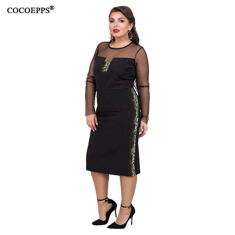 COCOEPPS  3