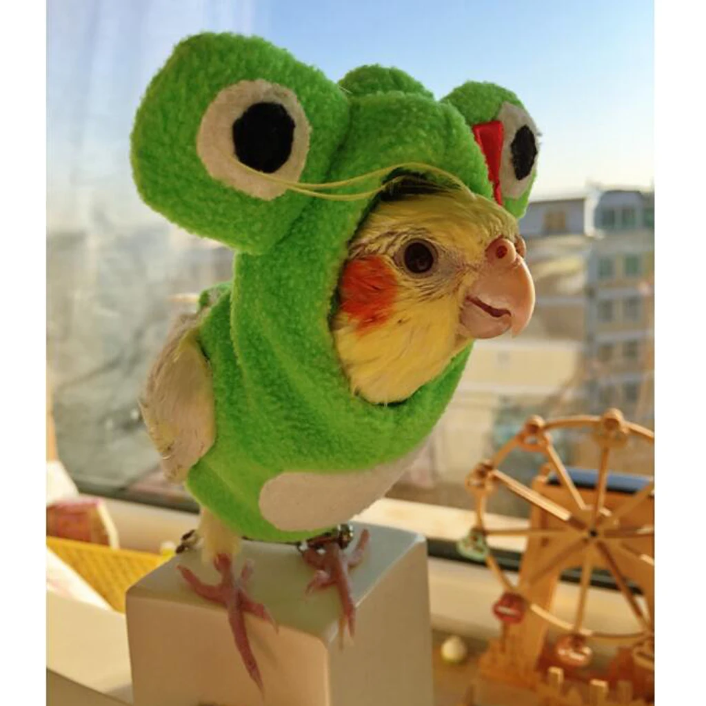 Fashion Bird Hoodies Parrot Bird Cockatiel Cockatoo Parakeet Clothes