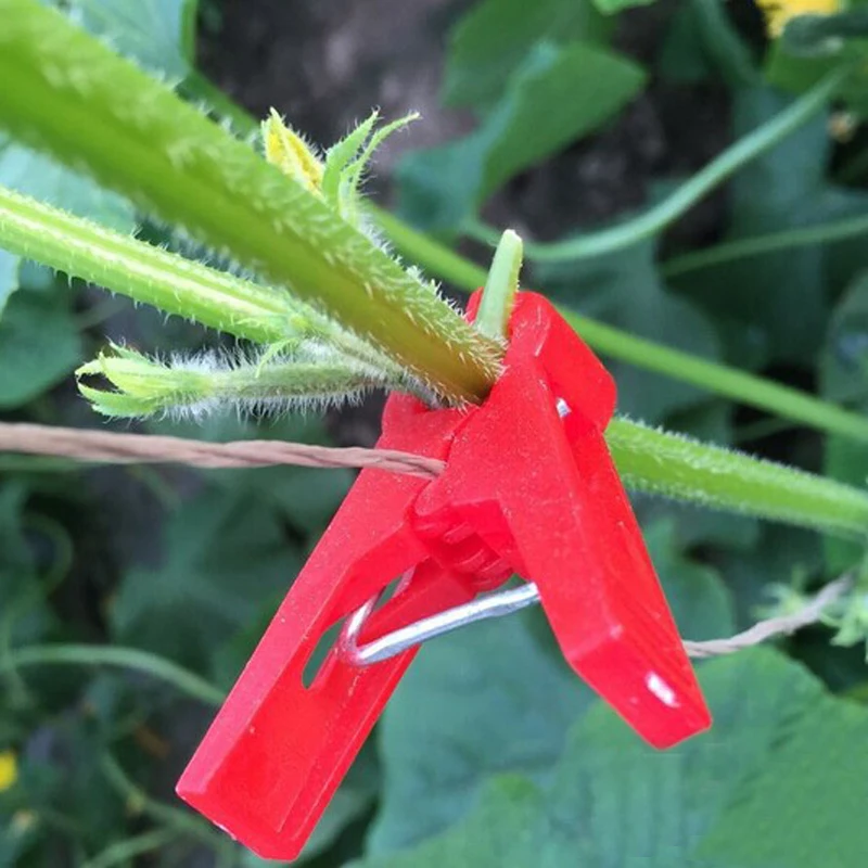 10pcs Garden Vines Clip Plastic Clip Flower Garden Plant Shrub Branches Grape Tomato Vines Flowering Shrubs Fixing Tools