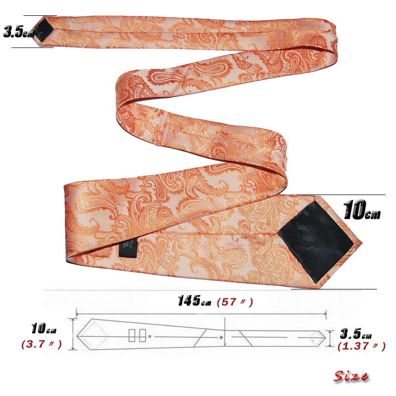 Галстук подарок для мужчин Пейсли шелк 10 см ширина модные жаккардовые Тканые Классические строгая Деловая одежда для свадебной вечеринки Рождество