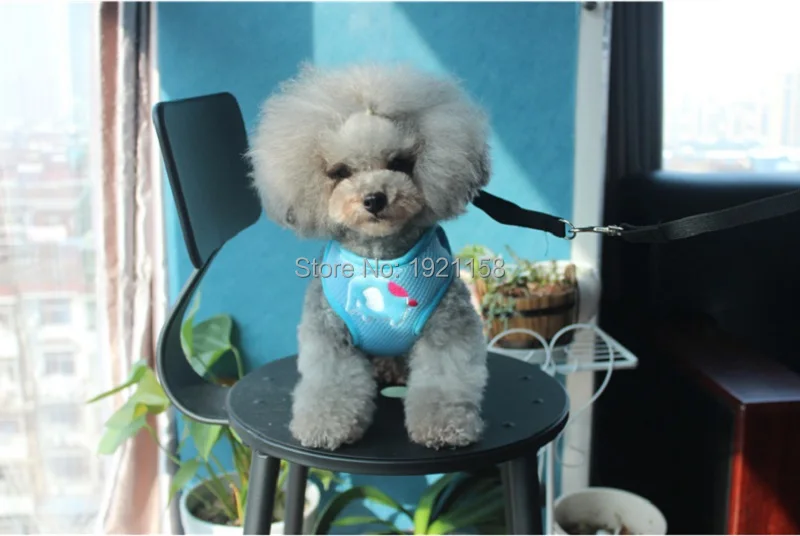 B15_2016_Pet_Dog_Vest_Harness_Collars_Mesh_Breathable_Puppy_dog_Cat_Leash_Adjustable_Chest_Braces_leads_Clothes_Teddy_Chuhuahua_6
