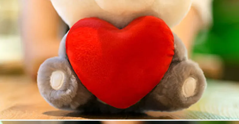 Plush Toys (14)