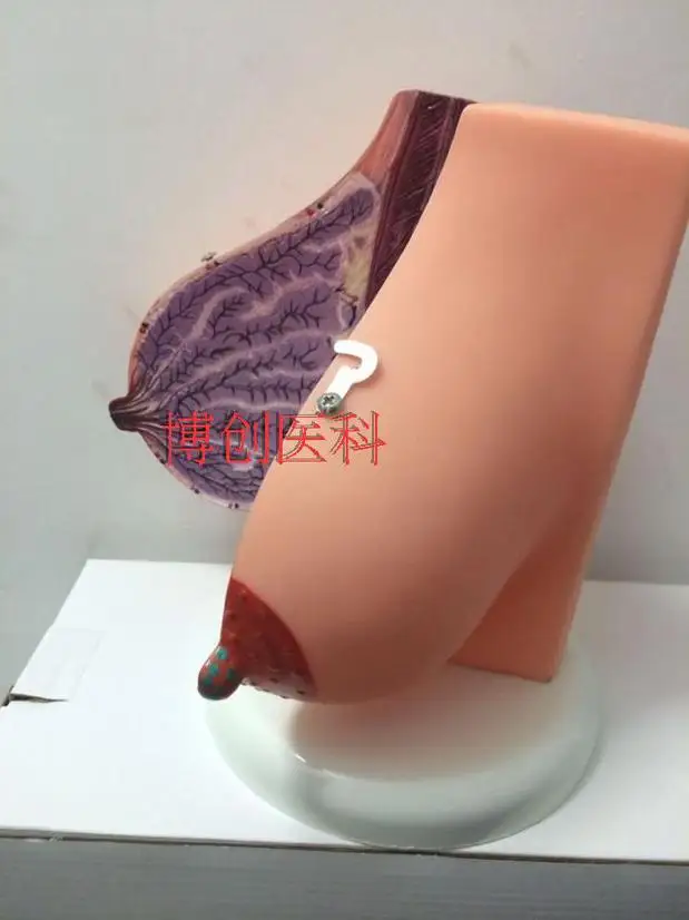 //img.alicdn.com/imgextra/i2/1076600170/TB2fdGfaFXXXXaEXXXXXXXXXXXX_!!1076600170.jpg