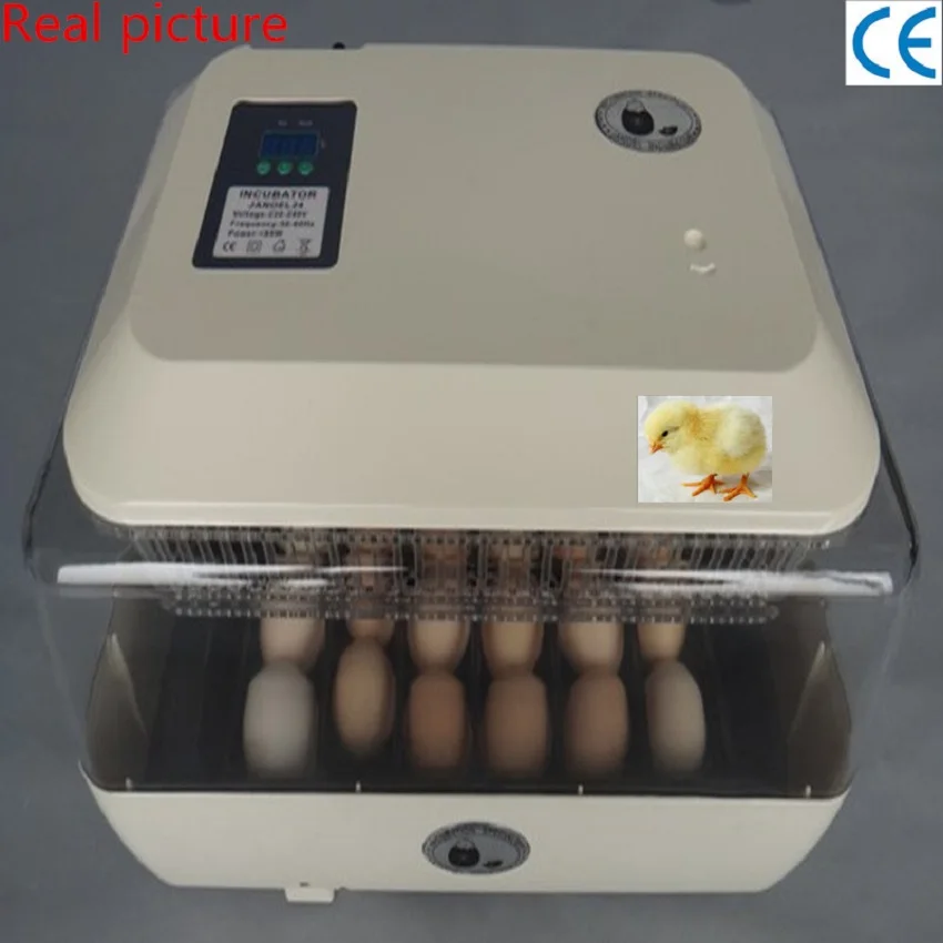 CE Approved Brand 24 Eggs Incubator Chicken Pigeon Duck Parrot Egg Incubator Brooder Hatcher + Gift Flashlight CE Approved Brand 24 Eggs Incubator Chicken Pigeon Duck Parrot Egg Incubator Brooder Hatcher + Gift Flashlight