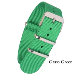Durable Solid Color Nylon Watchband with Stainless Steel Buckle - Brown, Red, Black Strap Options - 22mm (Grass Green)
