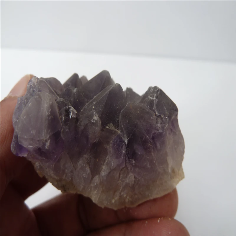 P1500456