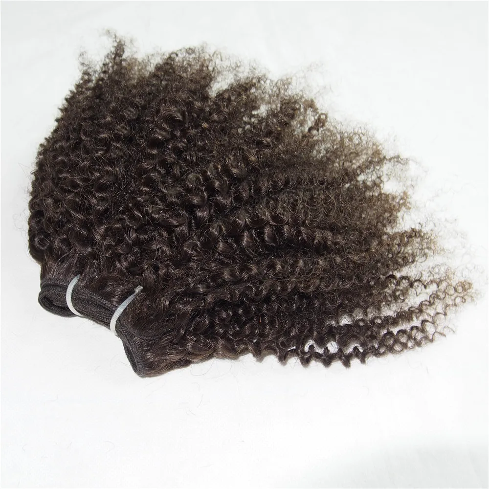 Amapro 1 piece Kinky Curly Free Shipping #2 #4 Brown Short Curly Human ...