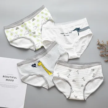 

New Teenage Underpants Giraffe Printed Young Girl Briefs Cartoon Panties Girl Cotton Panties Kids Underwear A-5