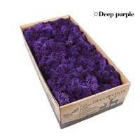 24 цвета бессмертие цветок цветочным принтом в стиле «сделай сам Материал посылка со стеной из живых растений стены в штучной упаковке импортные мох сухих цветов 500 г - Цвет: S  Deep purple