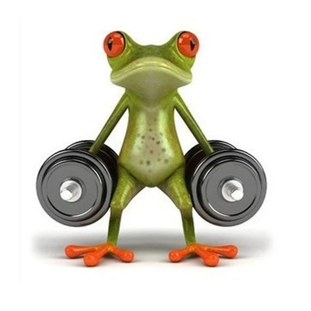 frog body