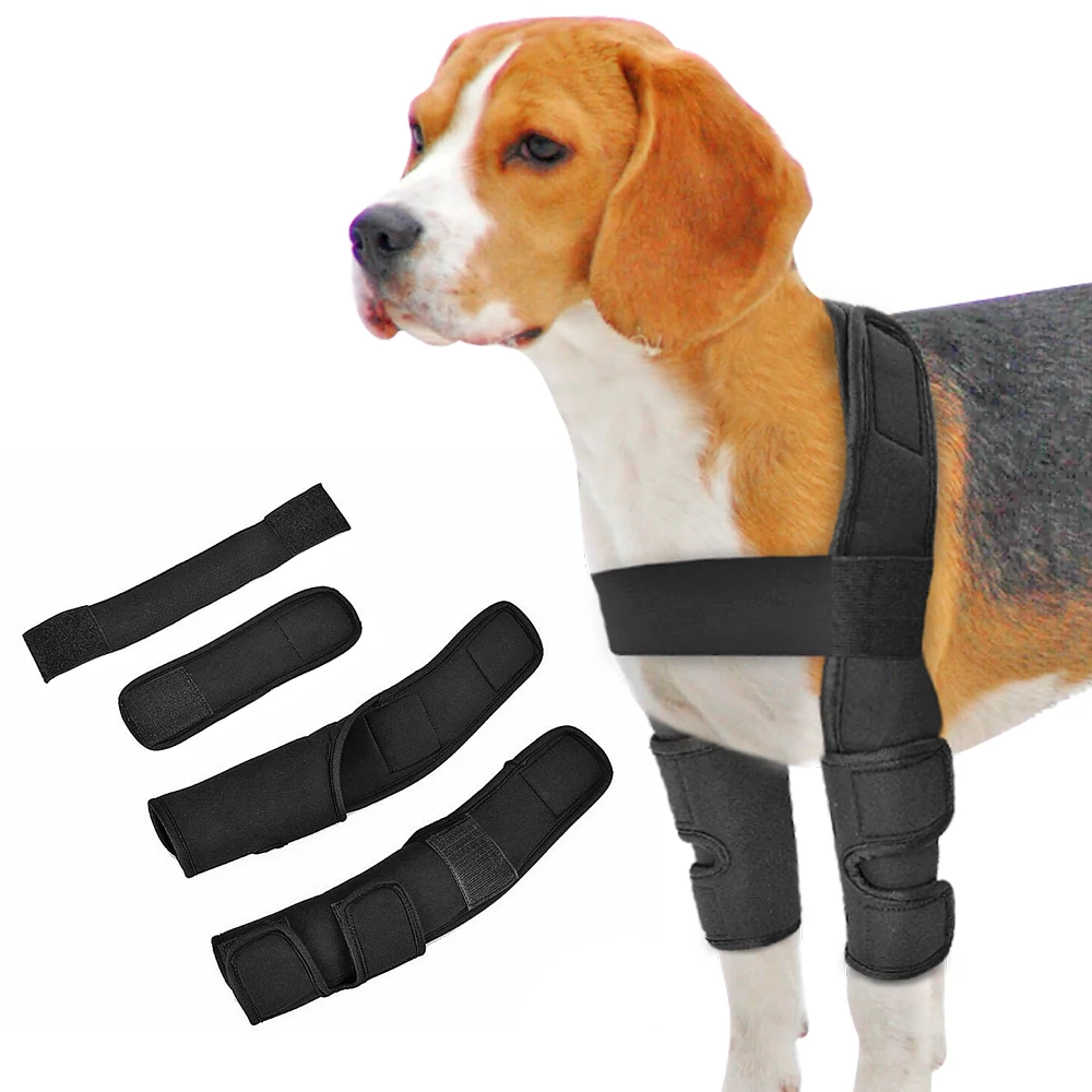 

Dog Knee Brace Injuries Leg Brace Surgical Joint Wrap Dog Wounds Heals Canine Front Leg Arthritis Prevents Dogs Medical Supplies