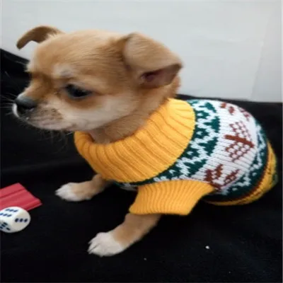 6010