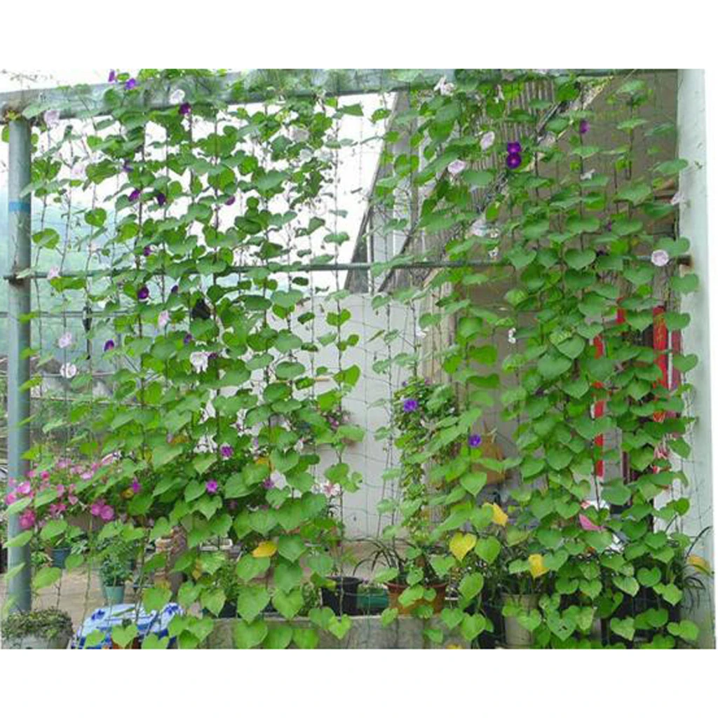 

Garden HDPE Plant Net Grow Fence Trellis Netting Support Climbing Bean Net