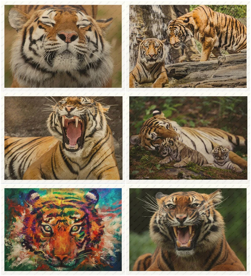 

Tiger poster children 's house pet shop clinic mural wallpaper/Kraft Poster/Wall sticker Cafe bar decoration painting