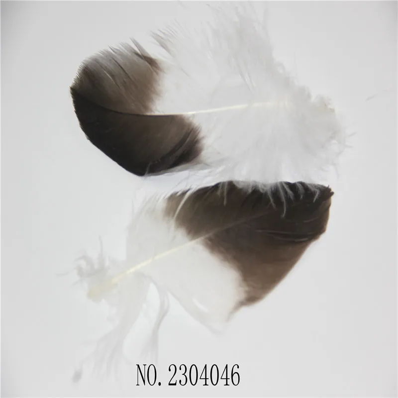 mtxx112