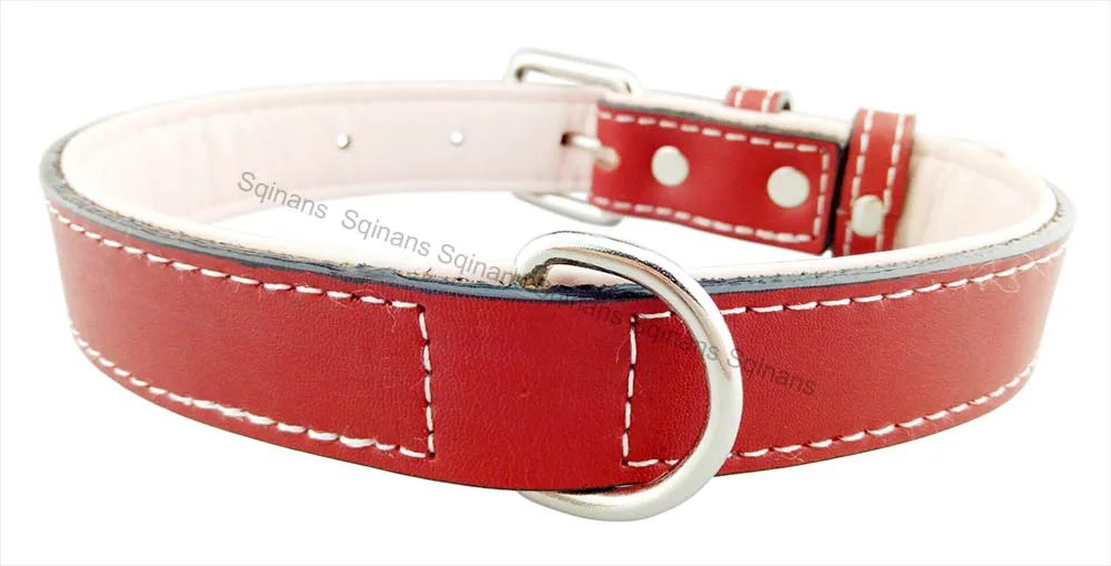 Red dog collar