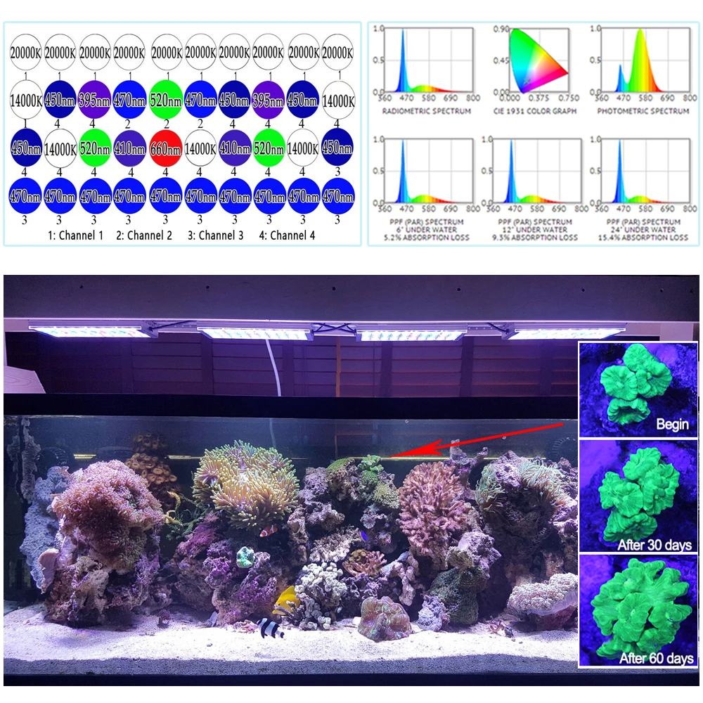DSunY морской аквариум светодиодное освещение alimentador aquario Iluminacao лампа Мариньо popbloom