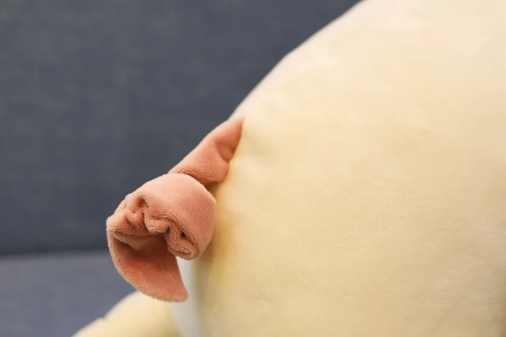 10087
