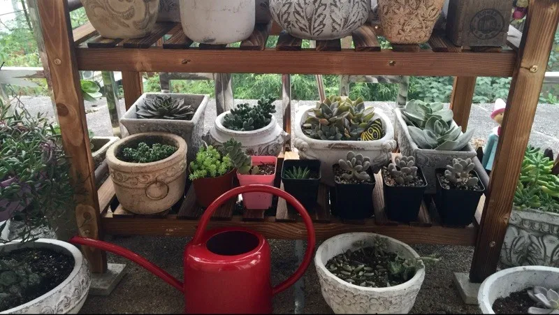 TB2kMVKhFXXXXb_XpXXXXXXXXXX_!!0-rate