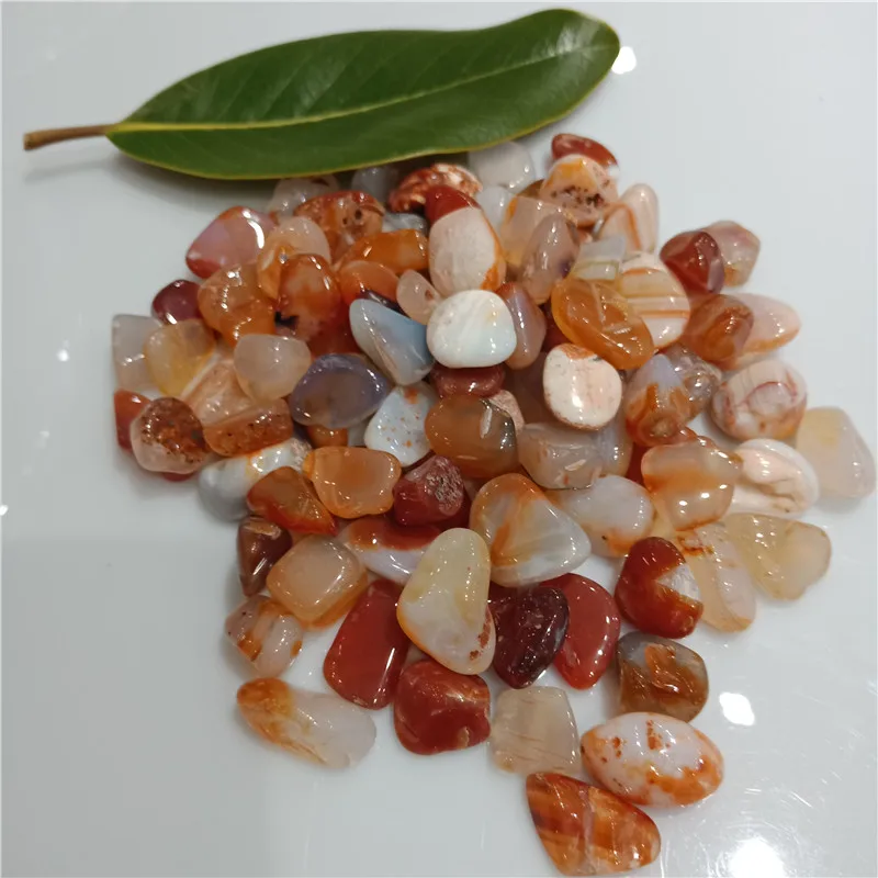 IMG20190223135555