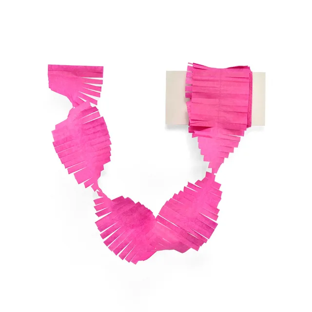 3M Fringed Party Streamers Tissue Paper Garland DIY Fringe Curtain