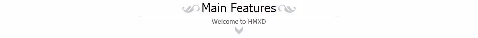 Main Features