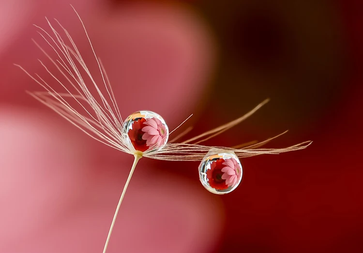 TB2iFUwjVXXXXXuXFXXXXXXXXXX_!!845877937