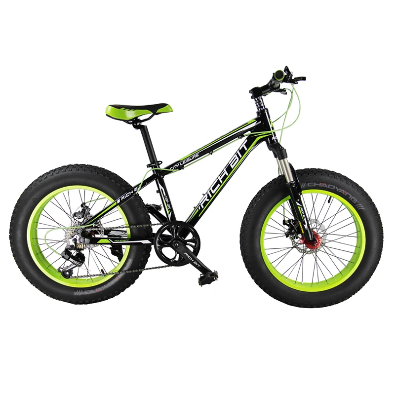 

TW Green 20 in Shiman0 7 Gears Flat Tire  Beach Bike Mountain Bike for Kids,Children, Women