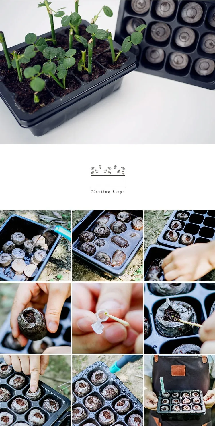 HTB18PeimBfH8KJjy1Xbq6zLdXXa4