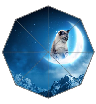 

Novelty Gift Good Quality Sun Rain Umbrella Funny And Cute Space Cat In Galaxy patten 12 Kids Lady Portable Foldable Umbrellas