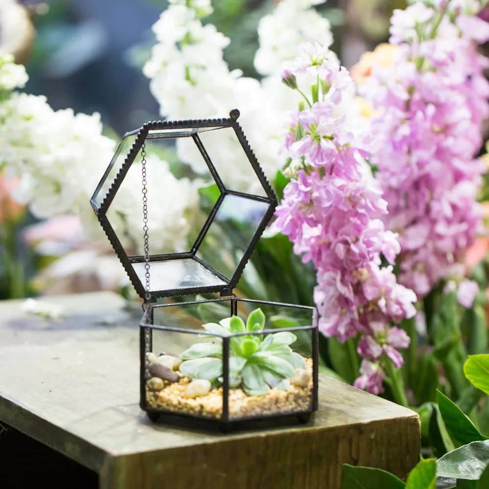 Klarglas Metall Diamant Geometrisch Terrarium Sukkulenten Pflanzgefäß Topf