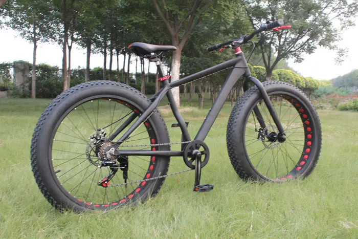 passion-ebike-fat-bike-04-01-010
