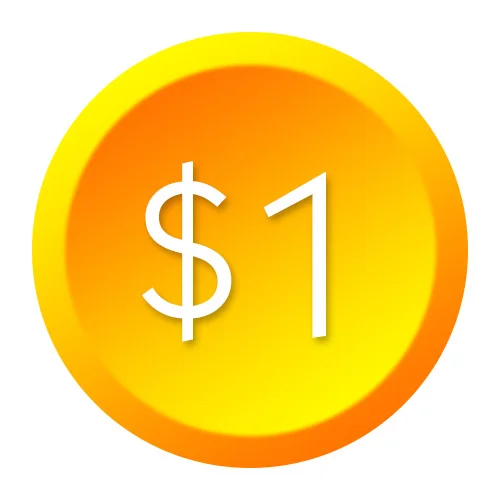 

Extra Fee/cost just for the balance of your order/shipping cost 1 dollars