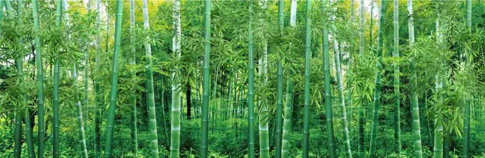 Huge 3D Ceiling Photo Wallpaper Panoramic Natural Scenery bamboo forest Custom Photo Wallpaper 3D Bedroom Ceiling