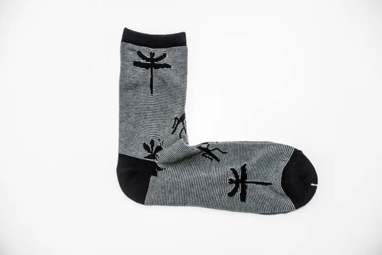 3595044852_888696260