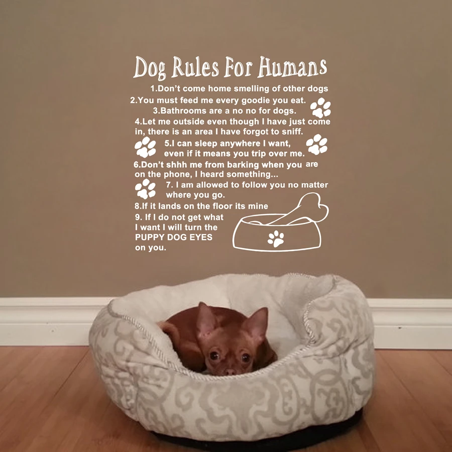 Dog Rules For Humans Wall Art Quotes Decal,Cute Love Dog Room Wall