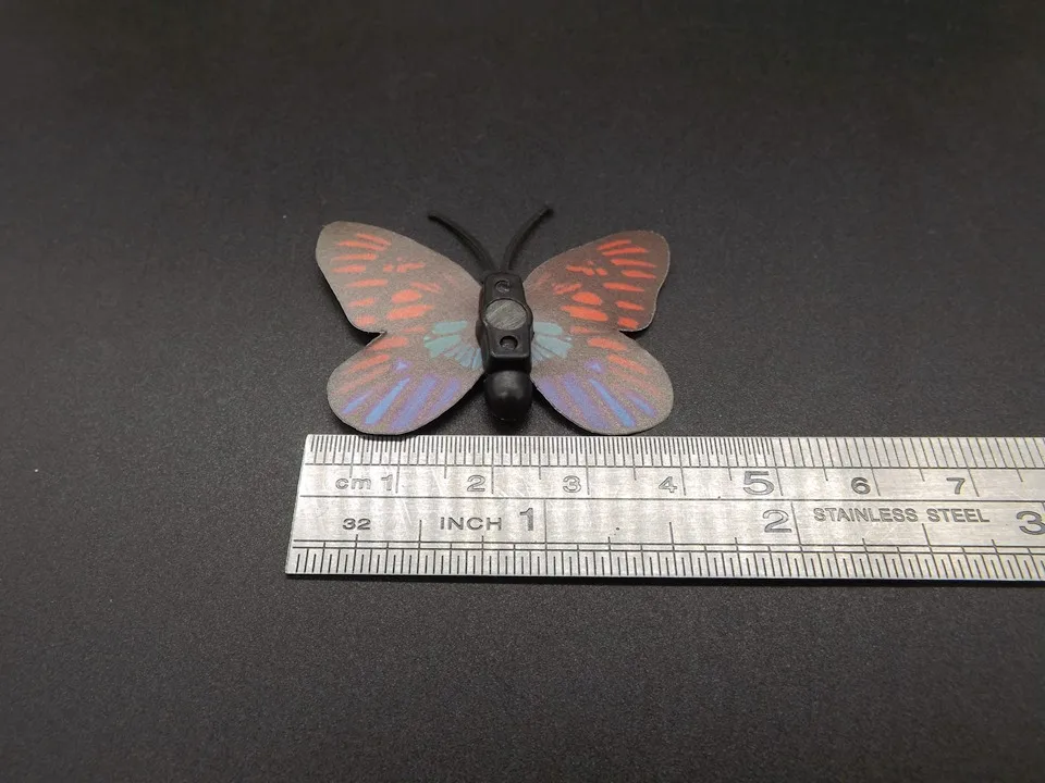 I246-Butterfly (13)